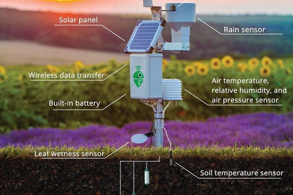 Teknologi Sensor dan Robotik