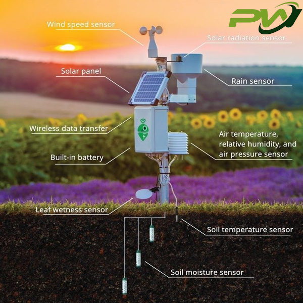 Teknologi Sensor dan Robotik