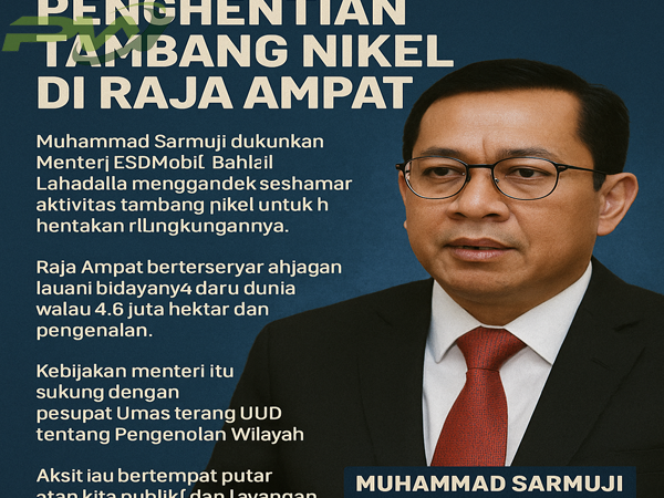Penghentian Sementara Tambang Nikel