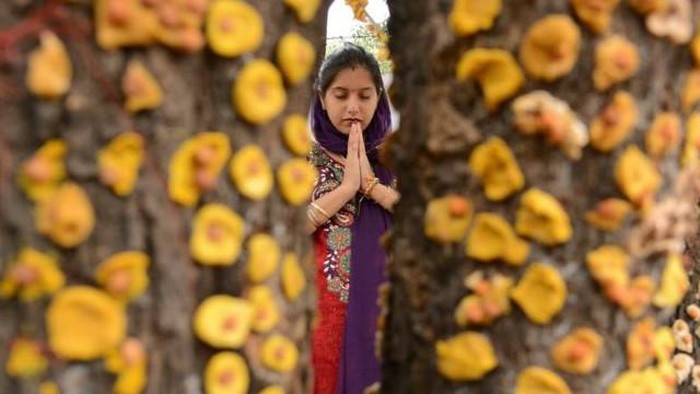 Tradisi Unik di India, Pecahkan Kelapa dengan Kepala
